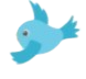 Bird Icon